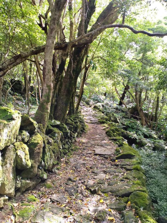 Alojamento Local M&I Lajes das Flores Buitenkant foto